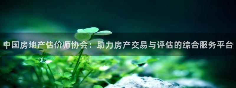 天狮娱乐怎么下载：中国房地产估价师协会：助力房产交易与评估的