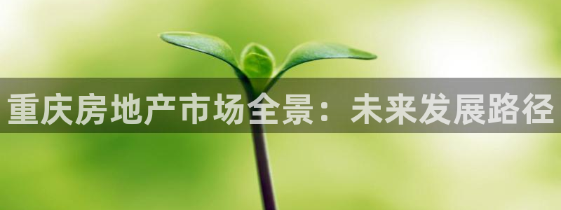 天狮娱乐平台代理