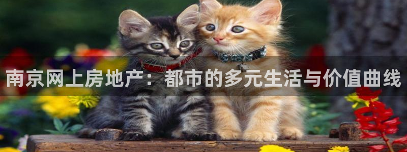 天狮娱乐 股31661东r