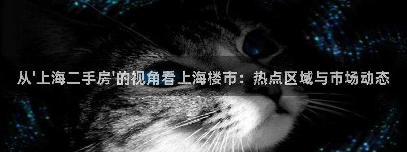 天狮娱乐真的：从\'上海二手房\'的视角看上海楼市：热点区域