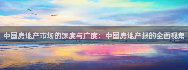 天狮娱乐 主管注册官网：中国房地产市场的深度与广度：中国房地