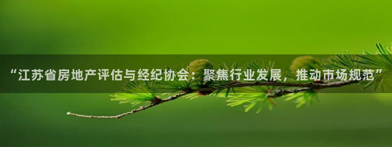 天狮娱乐 运营88383x：“江苏省房地产评估与经纪协会：聚