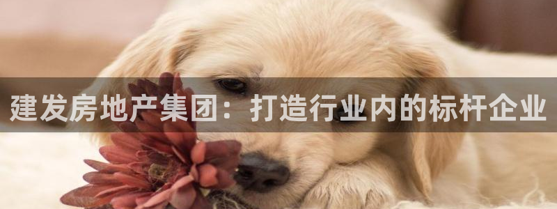 天狮娱乐官网登录地址：建发房地产集团：打造行业内的标杆企业