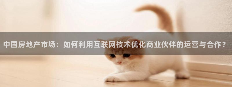 天狮娱乐股东36633：中国房地产市场：如何利用互联网技术优