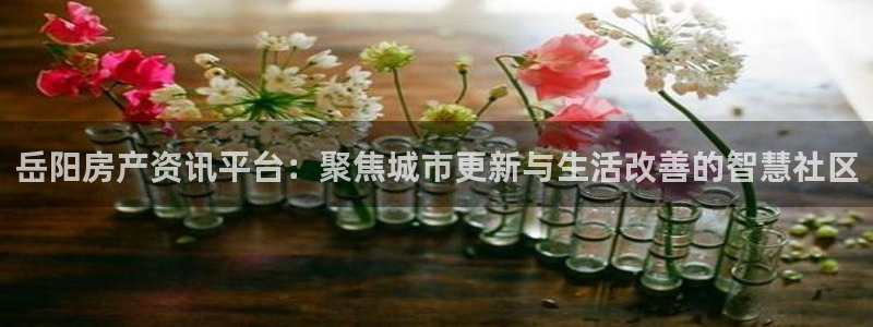 天狮娱乐注册登陆：岳阳房产资讯平台：聚焦城市更新与生活改善的