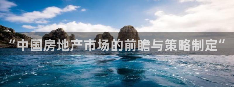天狮娱乐指尖可：“中国房地产市场的前瞻与策略制定”