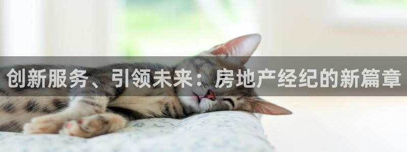 天狮娱乐负责人是：创新服务、引领未来：房地产经纪的新篇章
