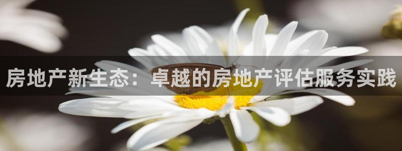 天狮娱乐主管招商：房地产新生态：卓越的房地产评估服务实践
