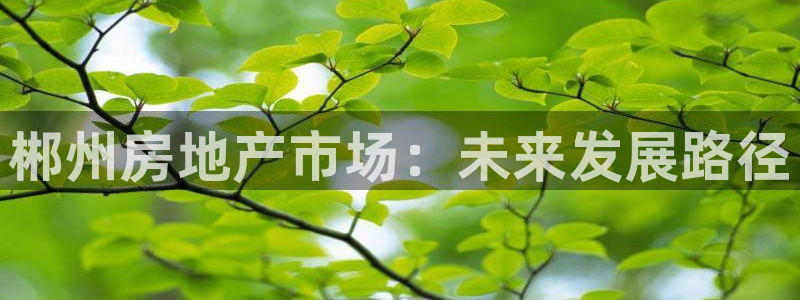 天狮娱乐运营29229：郴州房地产市场：未来发展路径