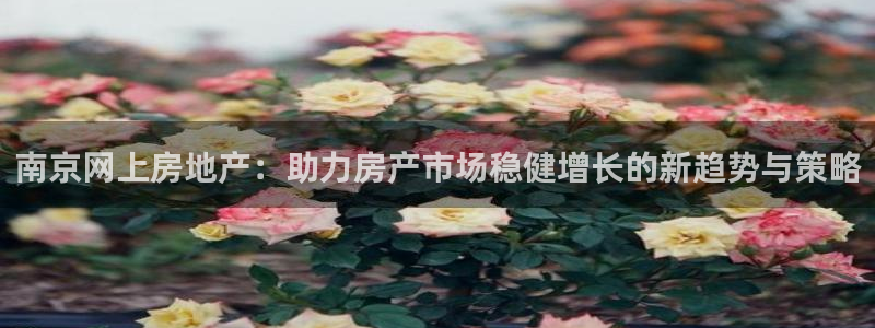 天狮娱乐强哥：南京网上房地产：助力房产市场稳健增长的新趋势与