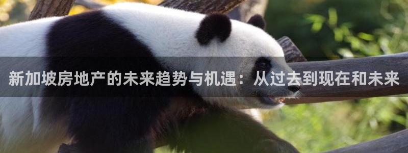 天狮娱乐主管：新加坡房地产的未来趋势与机遇：从过去到现在和未