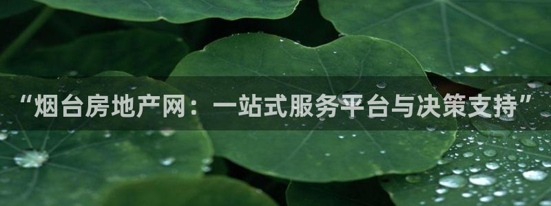 天狮娱乐招商80326：“烟台房地产网：一站式服务平台与决策