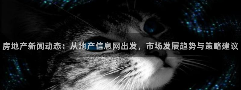 天狮娱乐 amp c主管20476：房地产新闻动态：从地产信