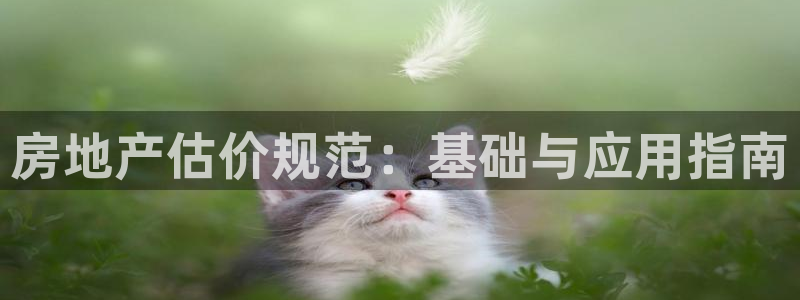 天狮娱乐提现不到账：房地产估价规范：基础与应用指南