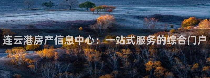 天狮娱乐彩票玩法：连云港房产信息中心：一站式服务的综合门户