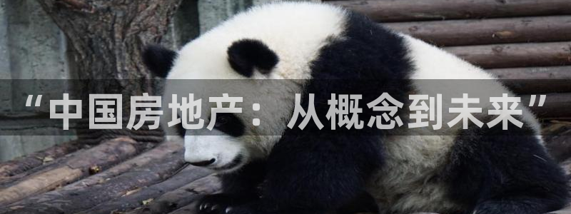 天狮娱乐代理找谁：“中国房地产：从概念到未来”