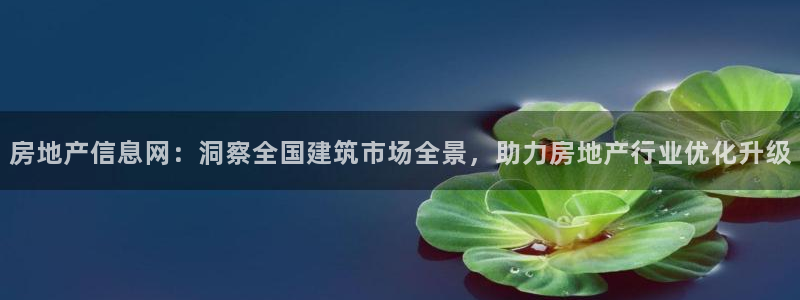 天狮娱乐腾讯分分彩：房地产信息网：洞察全国建筑市场全景，助力