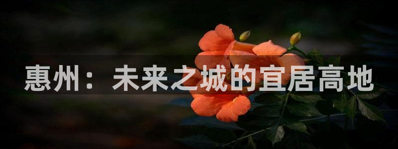 天狮娱乐彩票app：惠州：未来之城的宜居高地