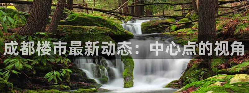 天狮娱乐首选：成都楼市最新动态：中心点的视角