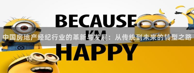 南京天狮娱乐会所：中国房地产经纪行业的革新与发展：从传统到未