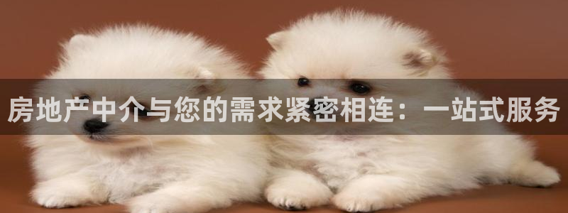 天狮娱乐来0 1311：房地产中介与您的需求紧密相连：一站式