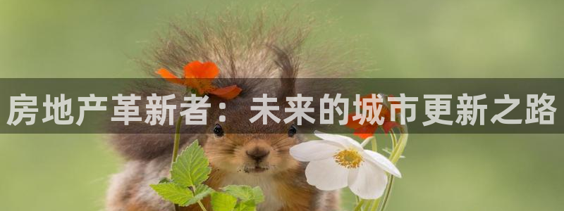 天狮天狮娱乐下载：房地产革新者：未来的城市更新之路