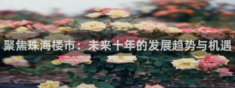 南京天狮娱乐会所：聚焦珠海楼市：未来十年的发展趋势与机遇