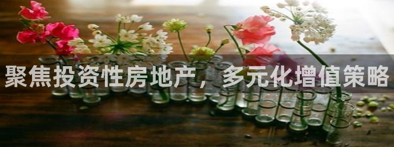 天狮娱乐平台找谁：聚焦投资性房地产，多元化增值策略