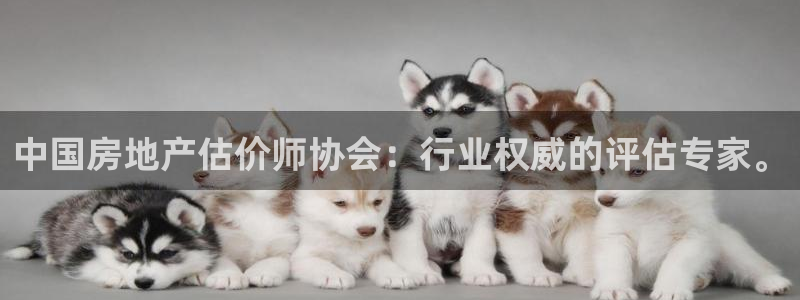 天狮娱乐妞妞：中国房地产估价师协会：行业权威的评估专家。
