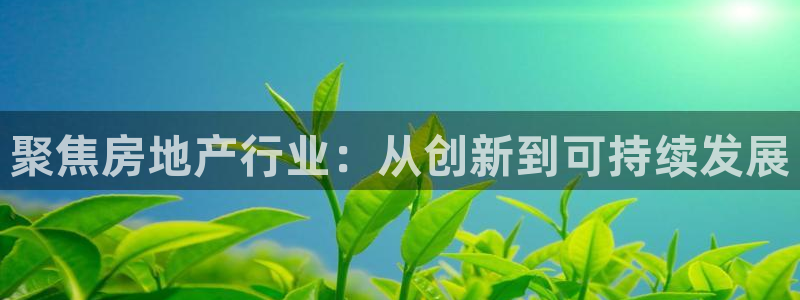 天狮娱乐指尖下：聚焦房地产行业：从创新到可持续发展