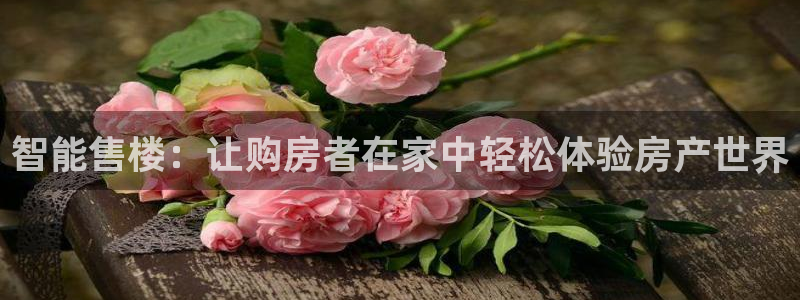 天狮娱乐縕不稳当：智能售楼：让购房者在家中轻松体验房产世界