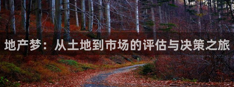 天狮娱乐主：地产梦：从土地到市场的评估与决策之旅