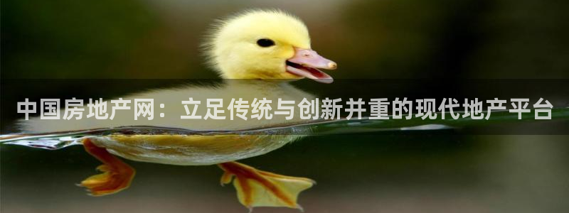 天狮娱乐是不是赌博：中国房地产网：立足传统与创新并重的现代地