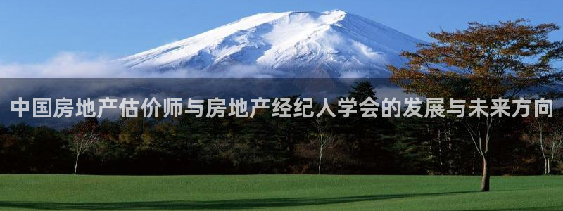 天狮娱乐指尖自：中国房地产估价师与房地产经纪人学会的发展与未