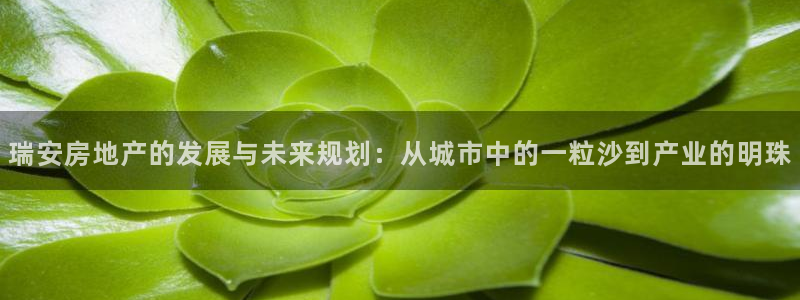 天狮娱乐注册q 0：瑞安房地产的发展与未来规划：从城市中的一