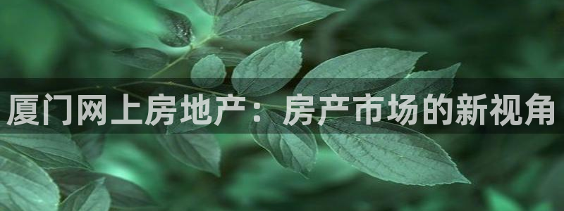 天狮娱乐怎么做：厦门网上房地产：房产市场的新视角