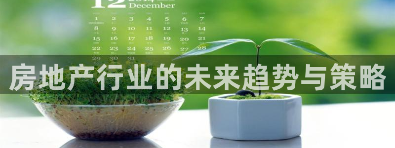 天狮娱乐来0 1311：房地产行业的未来趋势与策略