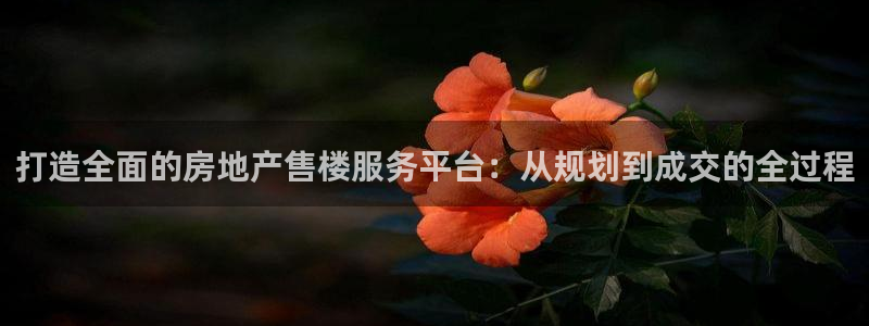 天狮娱乐官网登录地址：打造全面的房地产售楼服务平台：从规划到