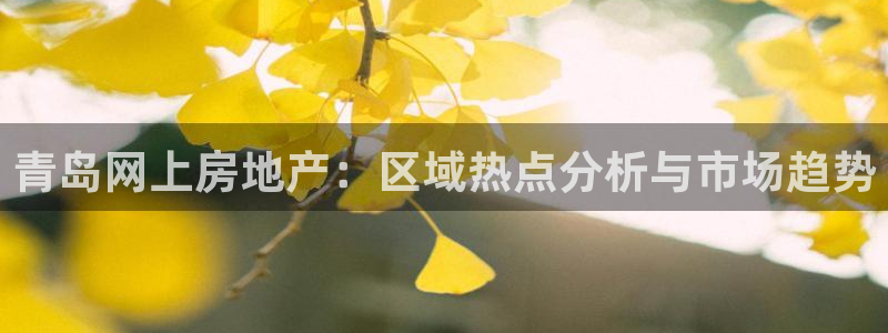 天狮娱乐是正规平台吗：青岛网上房地产：区域热点分析与市场趋势