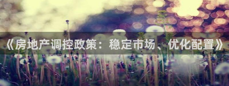 天狮娱乐走势图：《房地产调控政策：稳定市场、优化配置》