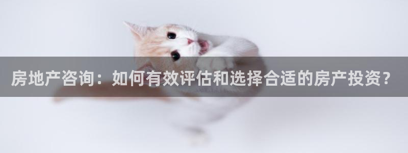 苏州狮山龙湖天街娱乐：房地产咨询：如何有效评估和选择合适的房