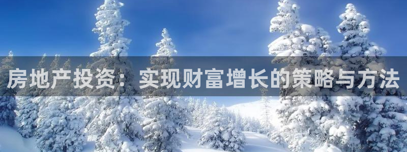 天狮娱乐怎样下载：房地产投资：实现财富增长的策略与方法