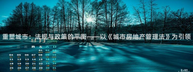 天狮学院娱乐设施：重塑城市：法规与政策的平衡——以《城市房地