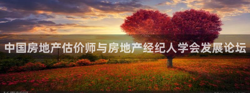 天狮娱乐彩票客服电话：中国房地产估价师与房地产经纪人学会发展