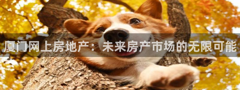 天狮娱乐p实 权：厦门网上房地产：未来房产市场的无限可能