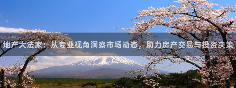天狮娱乐彩票玩法：地产大法家：从专业视角洞察市场动态，助力房