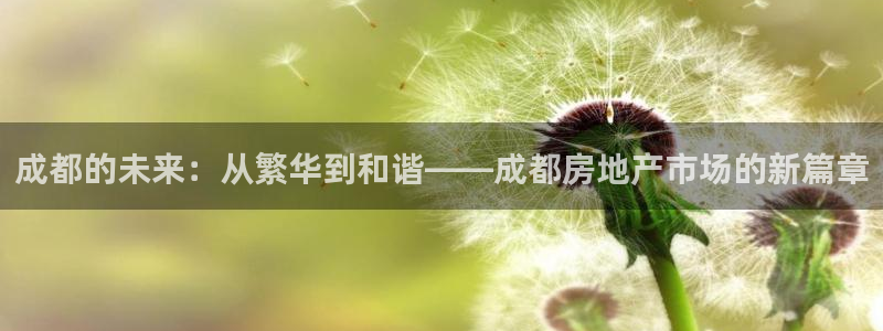 天狮娱乐- 招商：成都的未来：从繁华到和谐——成都房地产市场