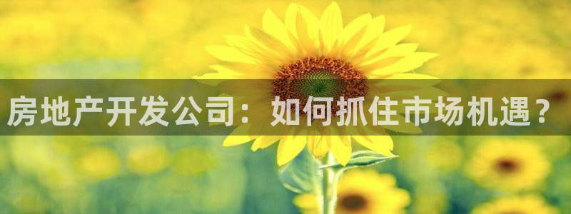 天狮娱乐 a招商98663：房地产开发公司：如何抓住市场机遇