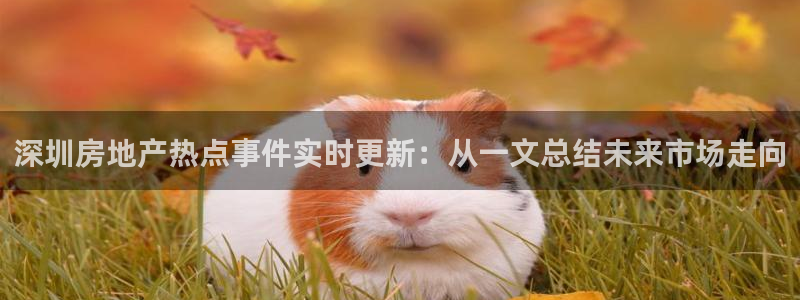 天狮娱乐 a招商60447：深圳房地产热点事件实时更新：从一