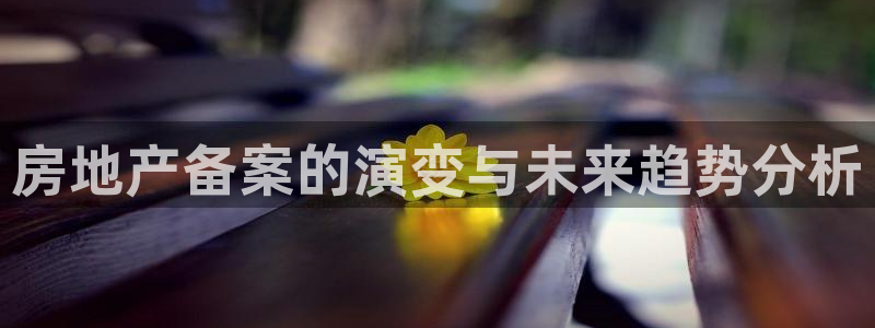 天狮娱乐 b运营67646：房地产备案的演变与未来趋势分析